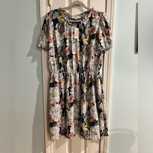 Beautiful Loft Plus short sleeved skater dress